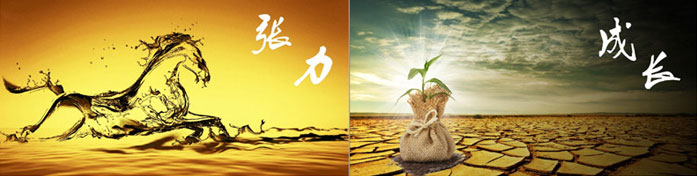 企業(yè)發(fā)展要學(xué)會(huì )取他人之長(cháng)、補自己之短